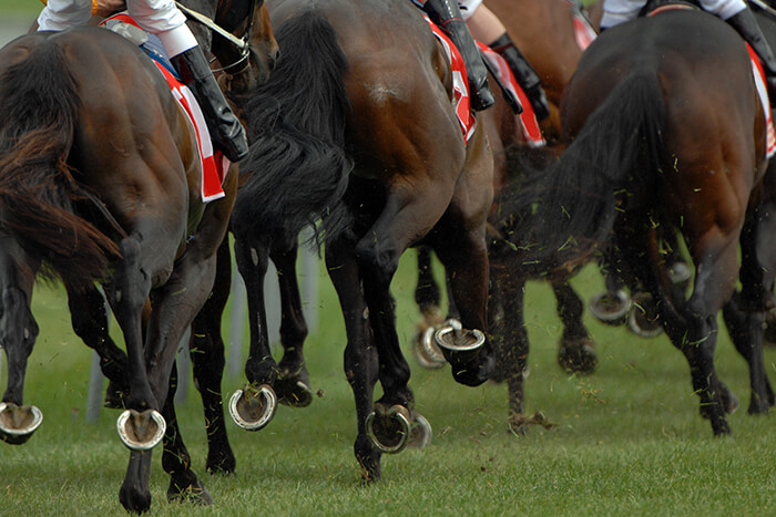 Horse Racing